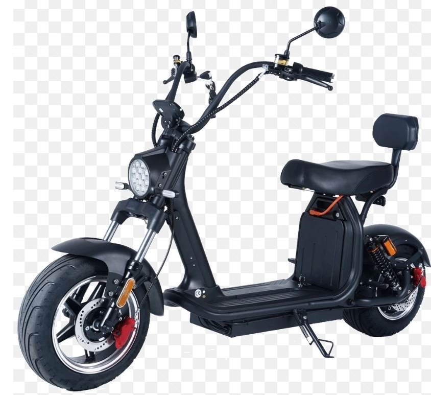 Mangosteen H10