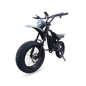 Biciklete Elektrike EB2