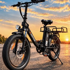 Biciklete elektrike Kepow